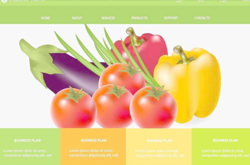 網(wǎng)頁設(shè)計中要遵循哪些原則